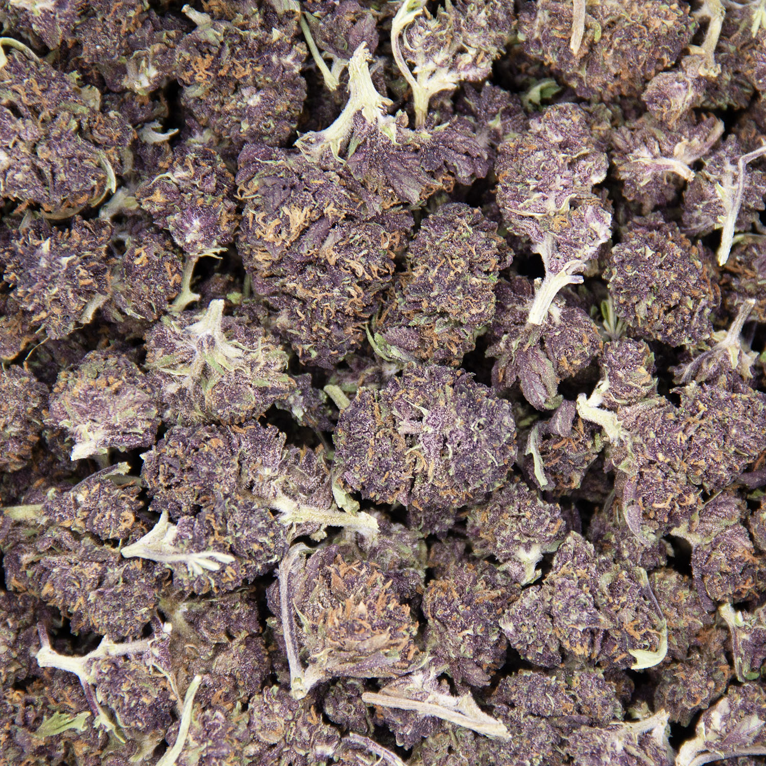 Forbidden Fruit (mediums) AA - Image 3