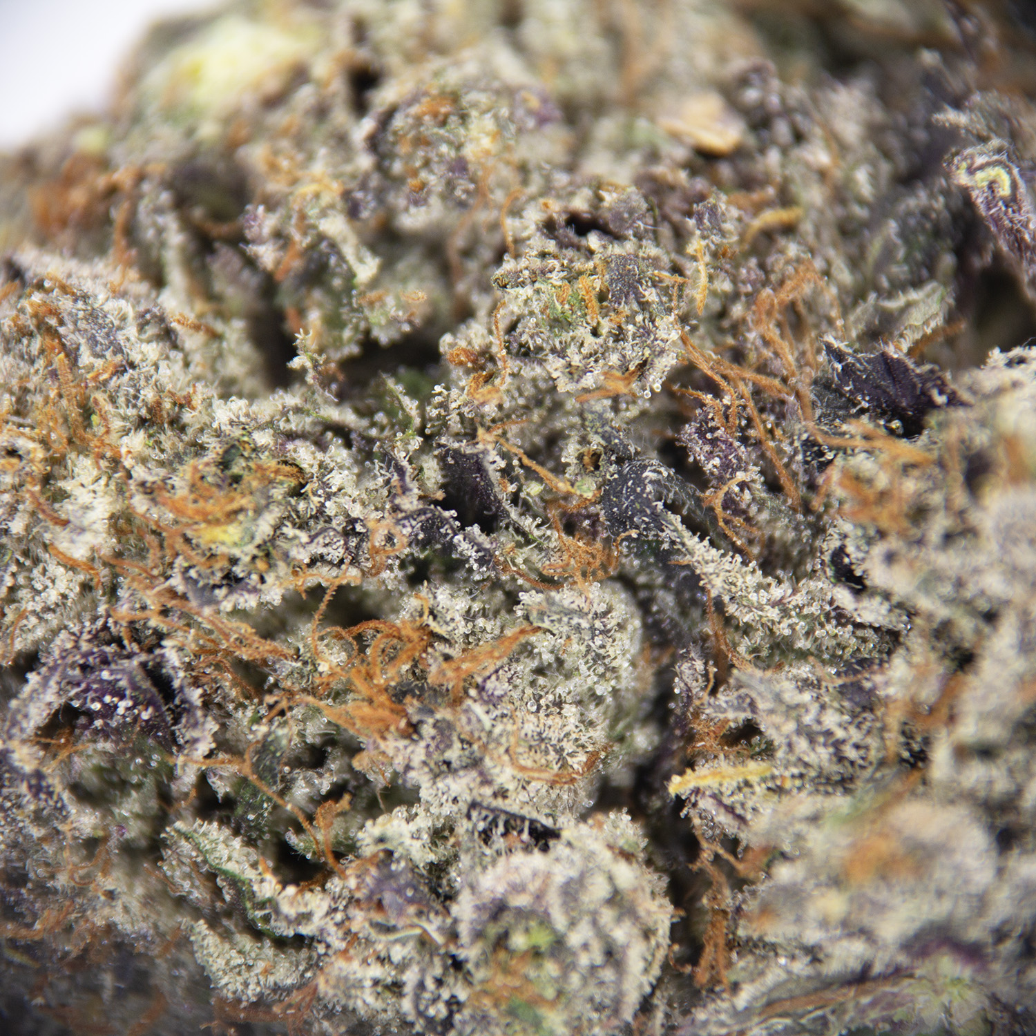 King Louis XIII AAAA+ - Image 2