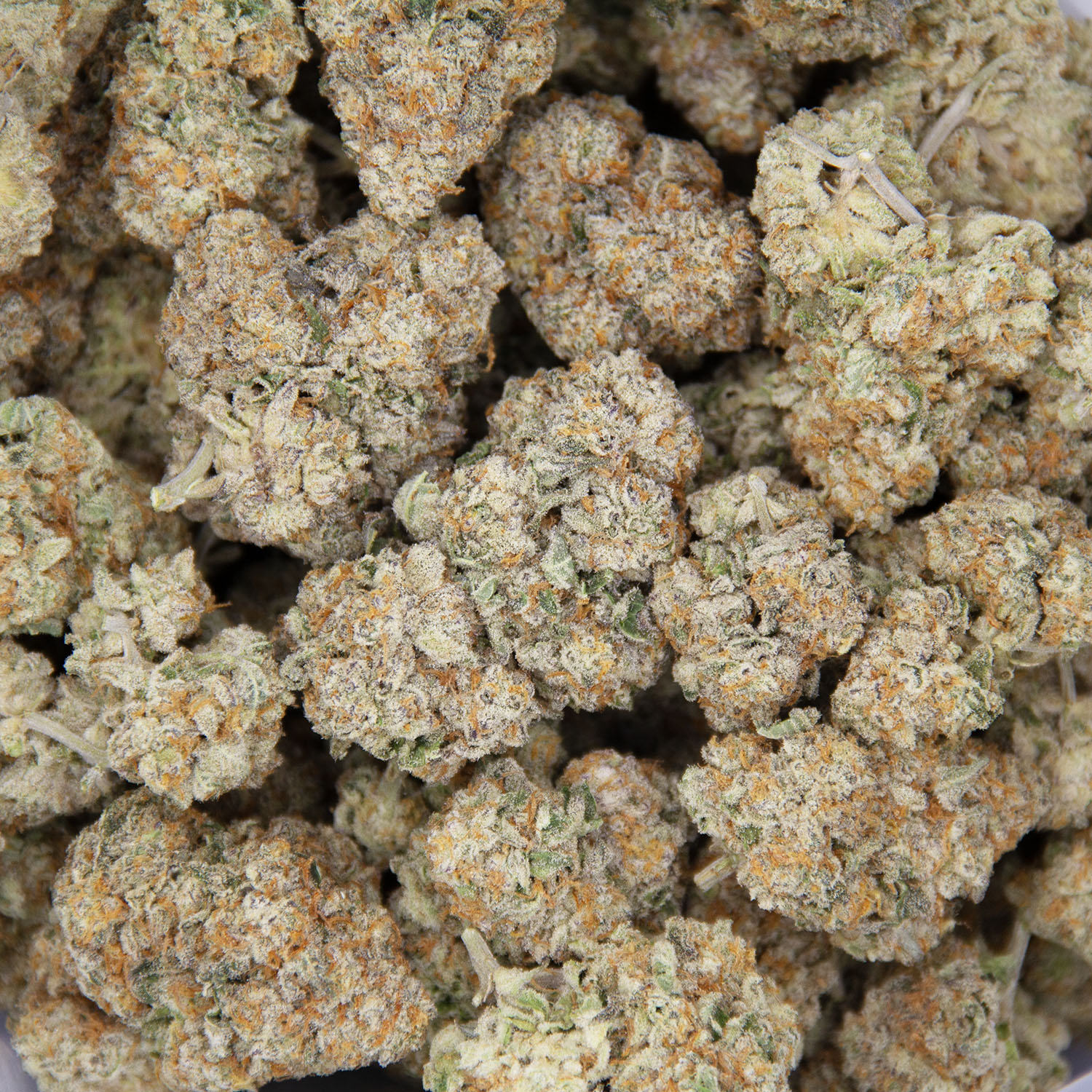 Pacific Blue AAA - Image 3