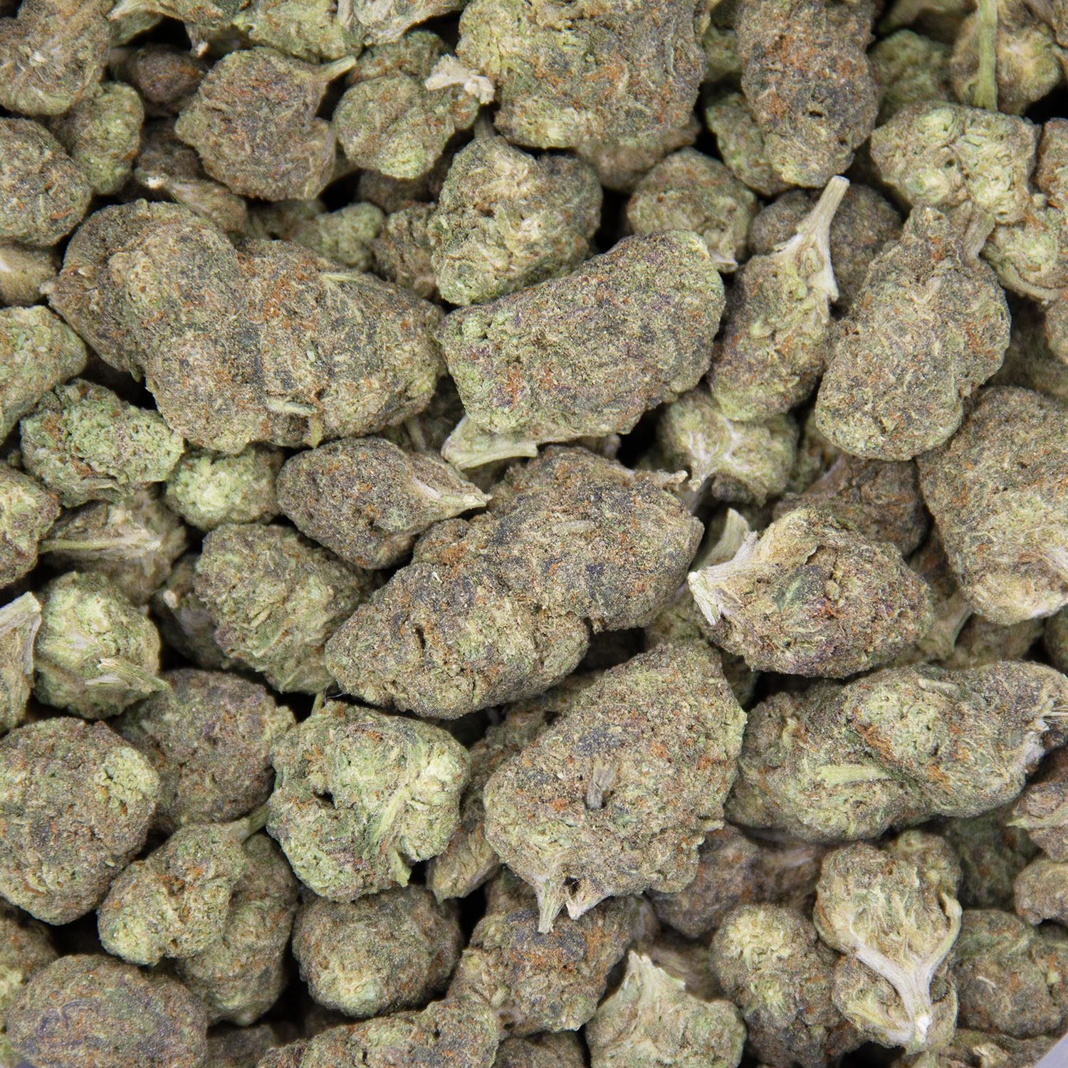 Pineapple Punch (mediums) AA - Image 3