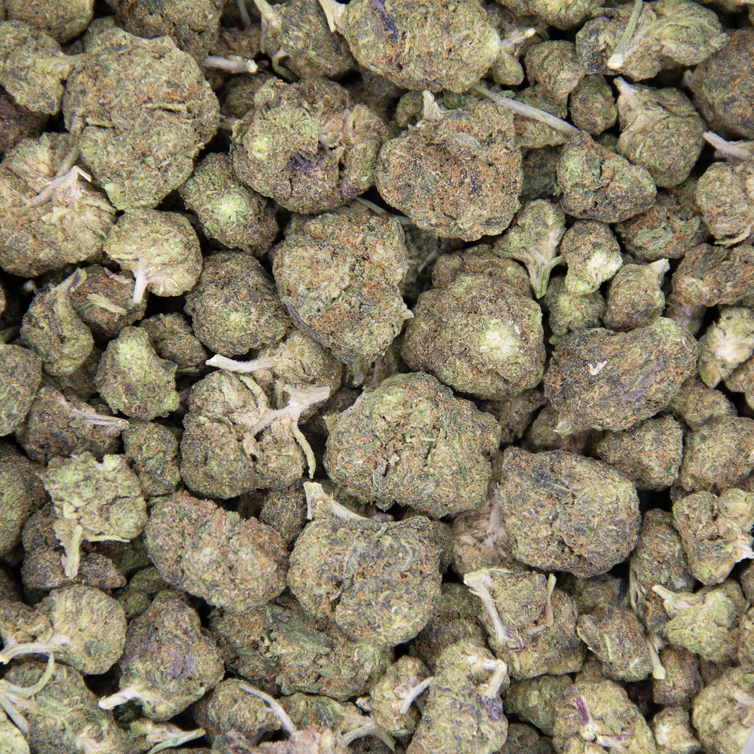 Sour Lemon OG (mediums) AA - Image 3