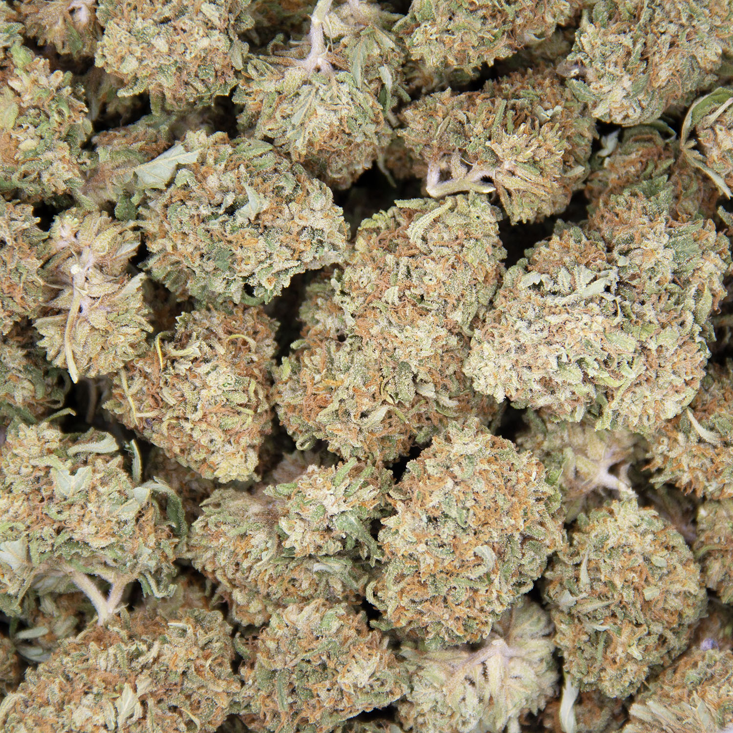 Super Mario AA - Image 3