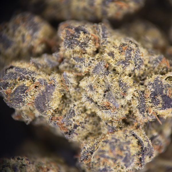 Black Patronus (mediums) AAA copy