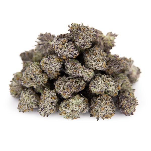 Platinum Gucci (smalls) AAAA