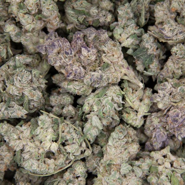 Point Break AA (2) copy BAG