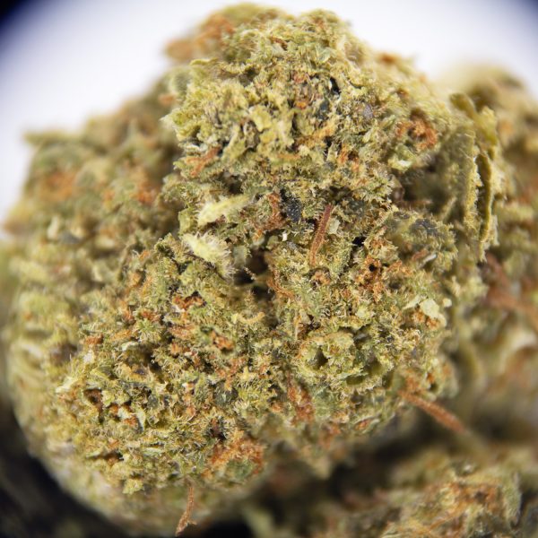 Thin Mint AA (1) copy