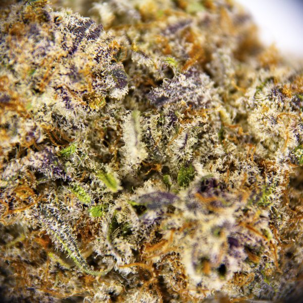 Alternative view of Code Orange AAAA