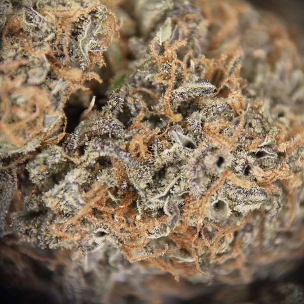 Alternative view of Do-Si-Dos AA