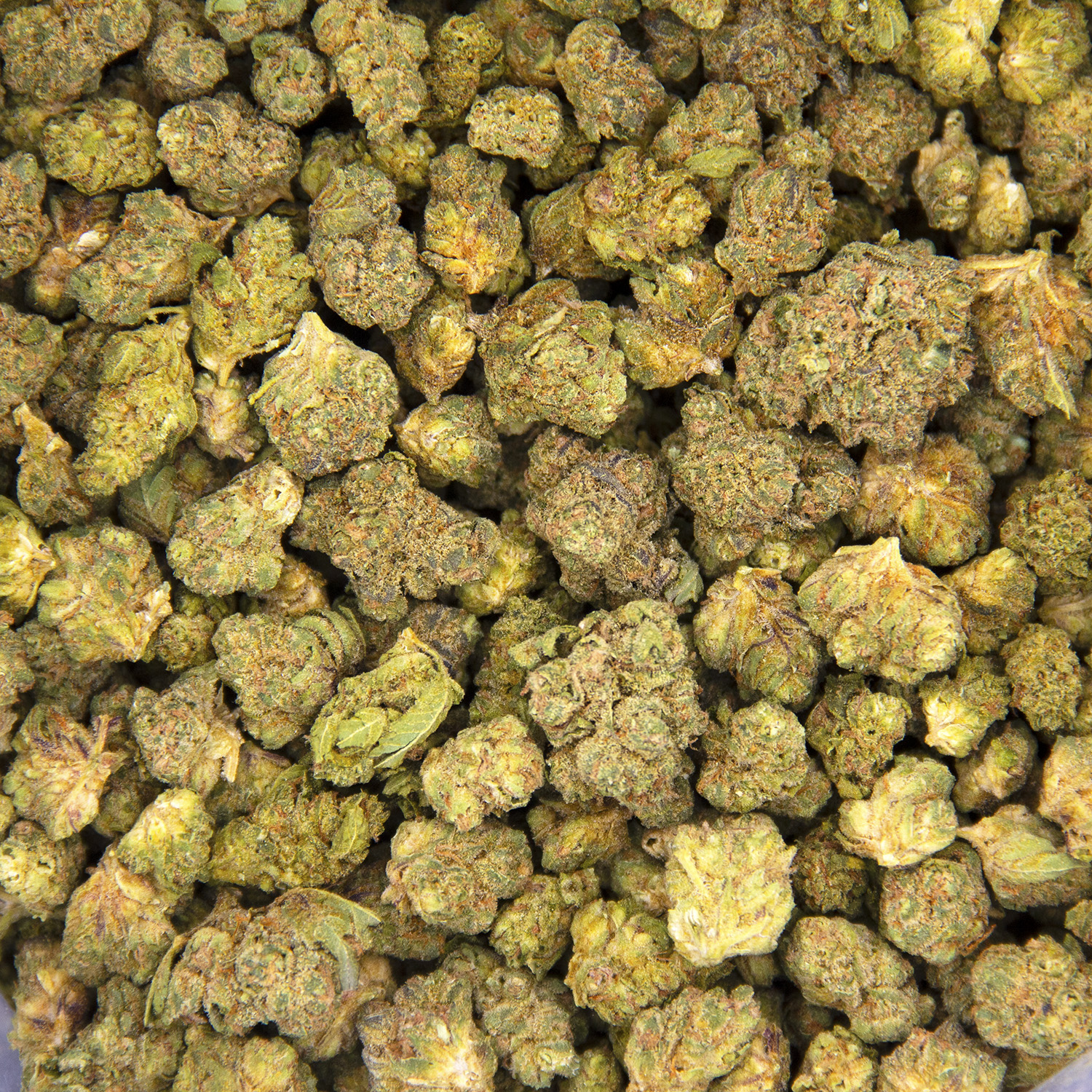 God's Green Crack (smalls) AA+ - Image 3