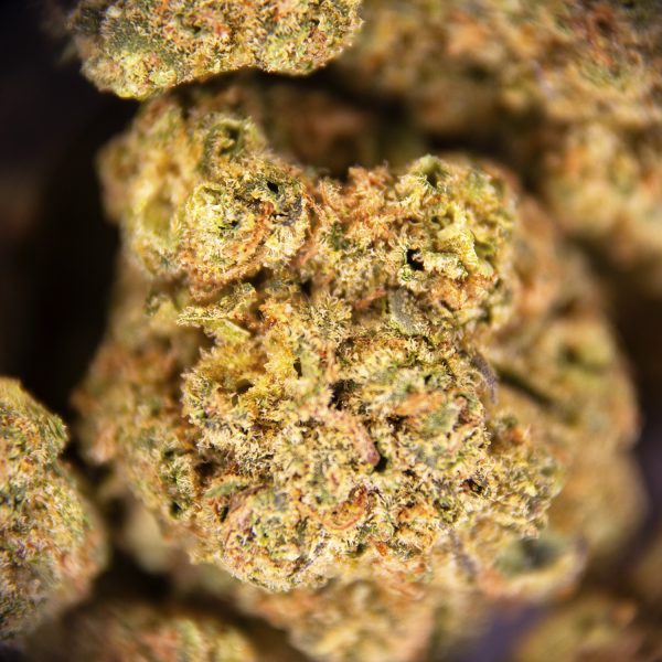 Alternative view of God's Green Crack (smalls) AA+