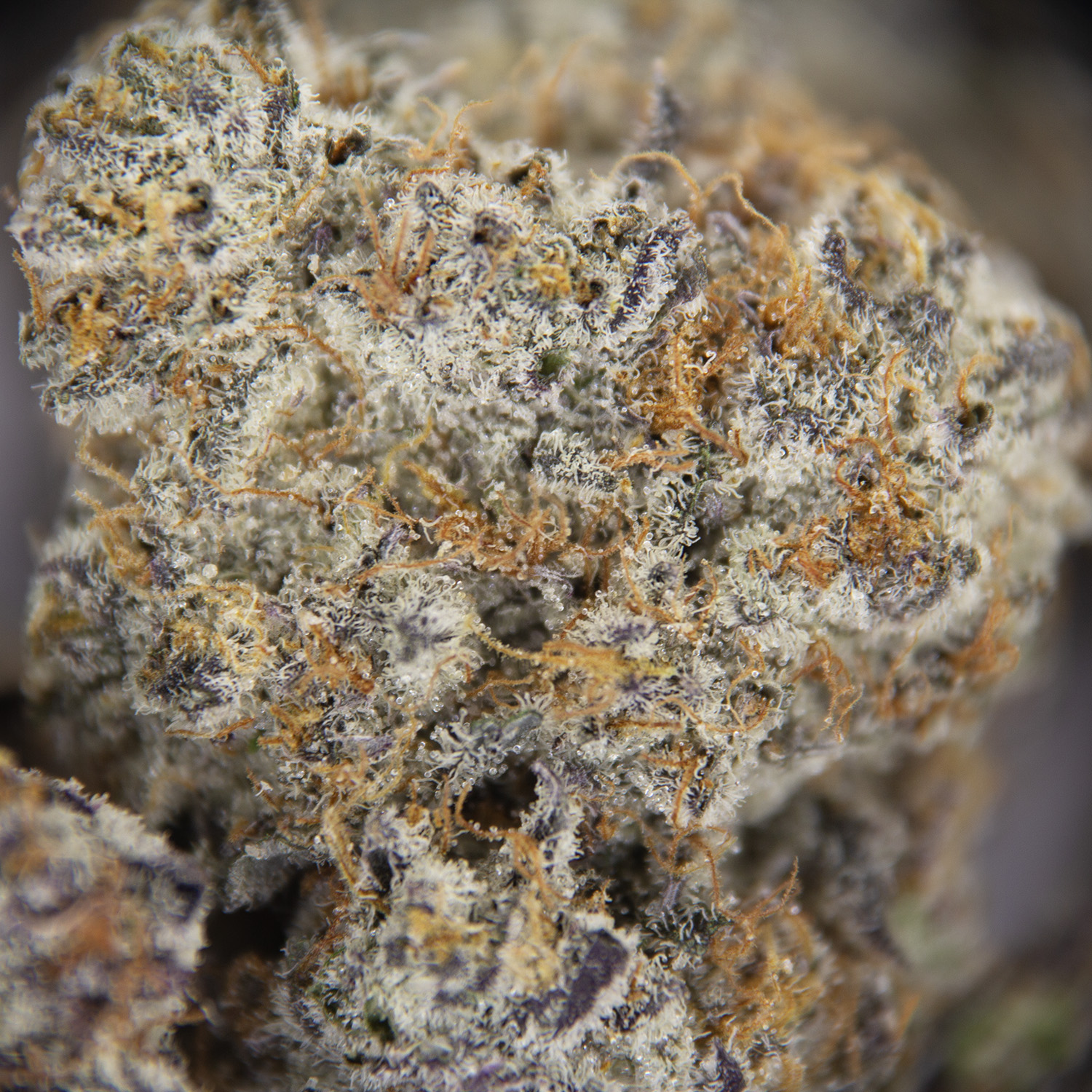 LA Kush Cake AAAA - Image 2