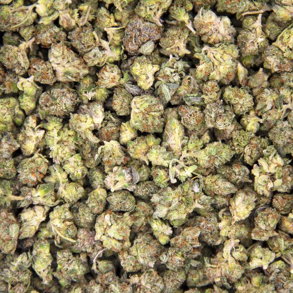 Alternative view of Master Yoda (popcorn) AAA-