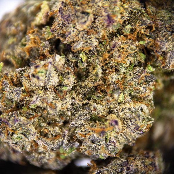 Alternative view of Pie Hoe AAA