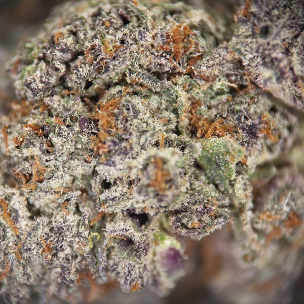 Alternative view of Red Bullz AAA