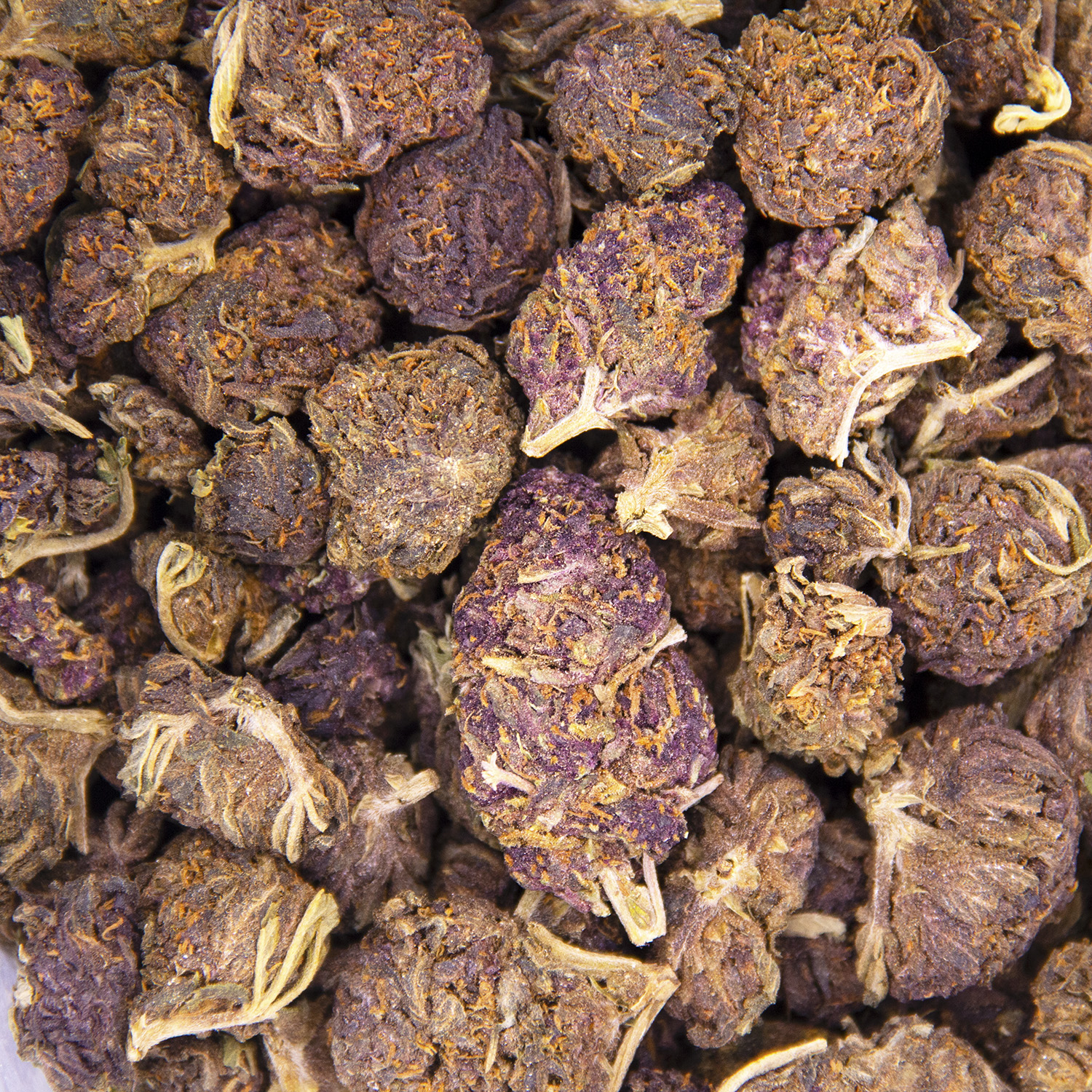 Twisted Purple AA - Image 3