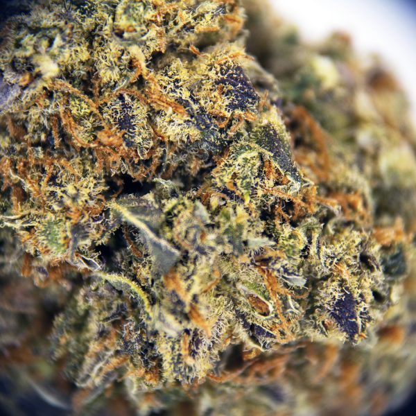 Alternative view of Blackberry Bliss AA