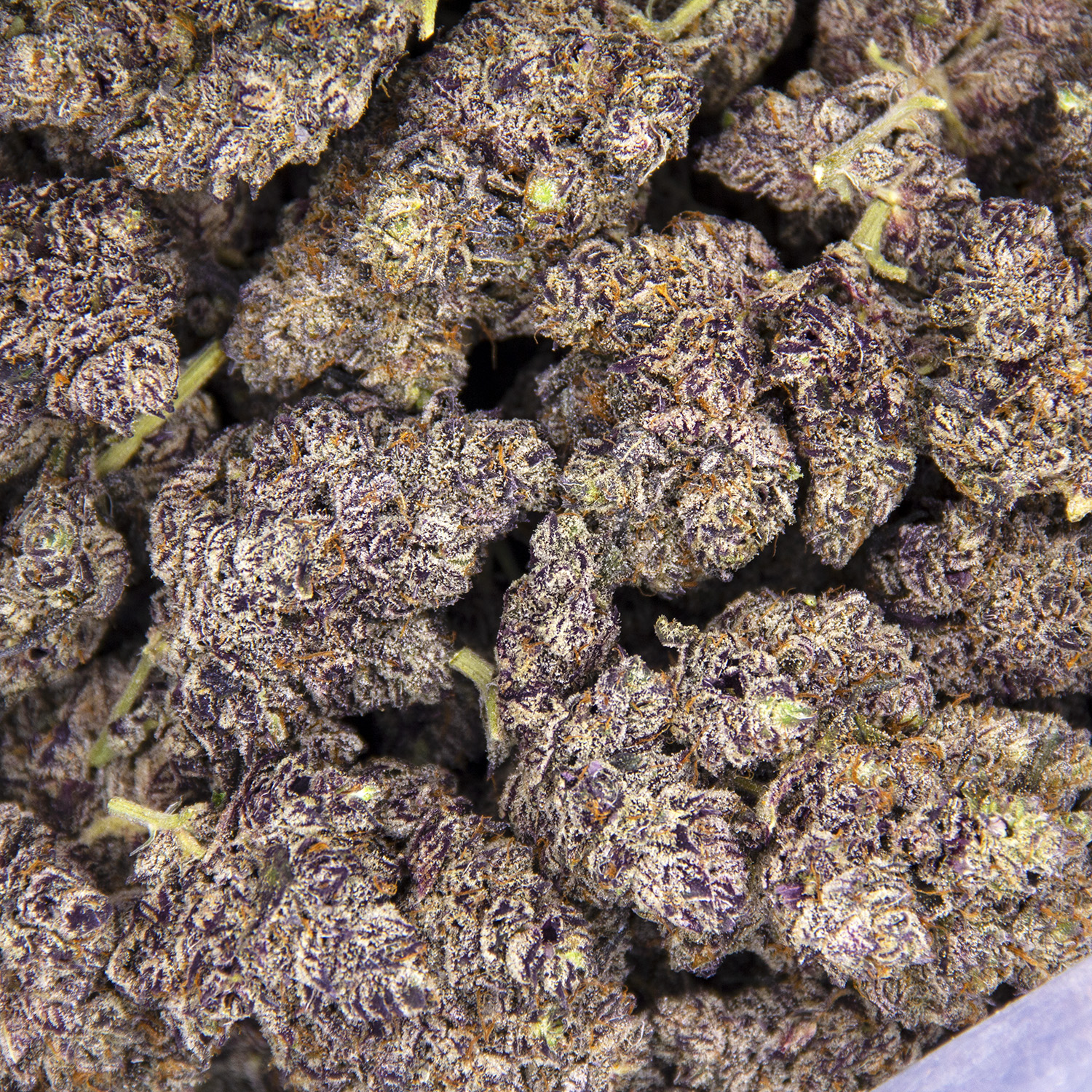 Detroit Diesel AAAA - Image 3