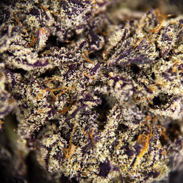 Alternative view of Detroit Diesel AAAA