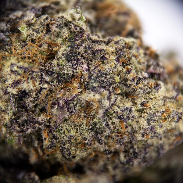 Alternative view of Dolato S1 AAA+