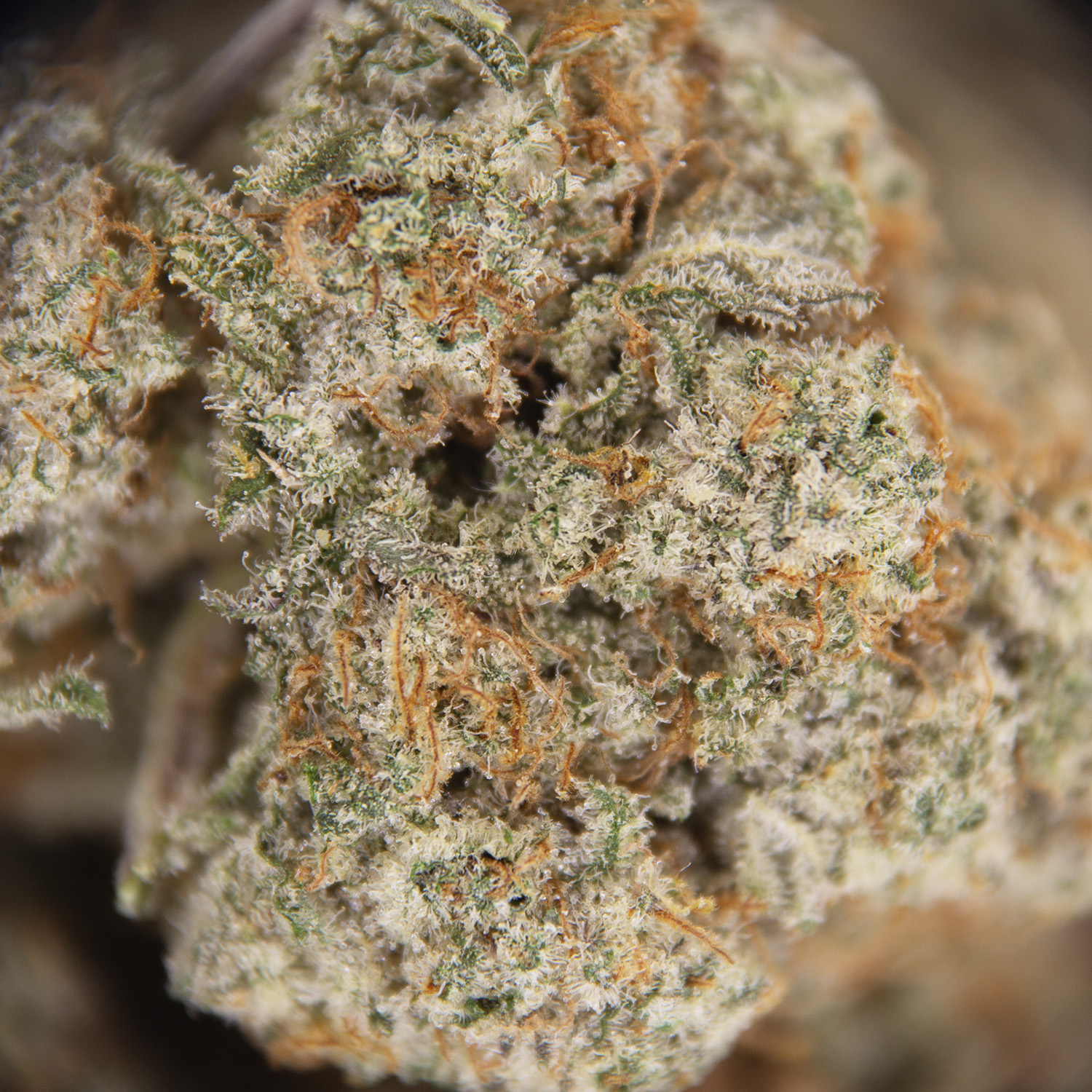 MAC (mediums) AAA - Image 2