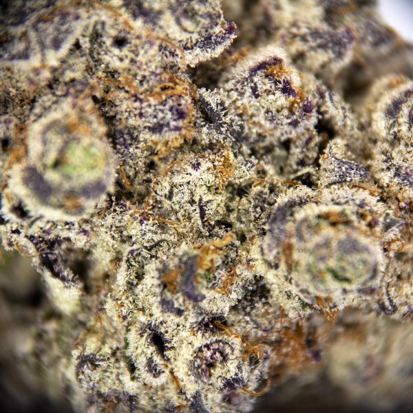 Alternative view of Strawberry Starburst AAAA