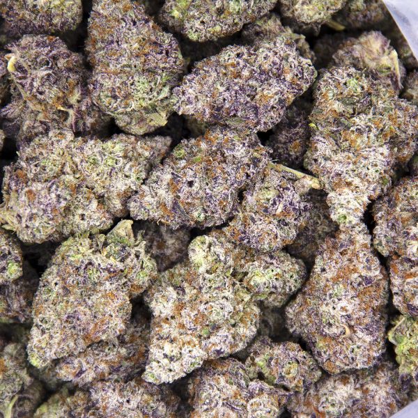 Alternative view of Super Boof AAAA