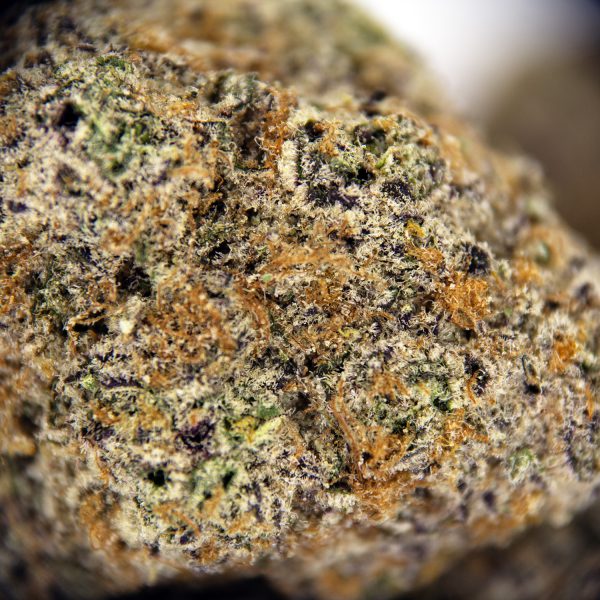 Alternative view of Tropical Zkittles AAA+