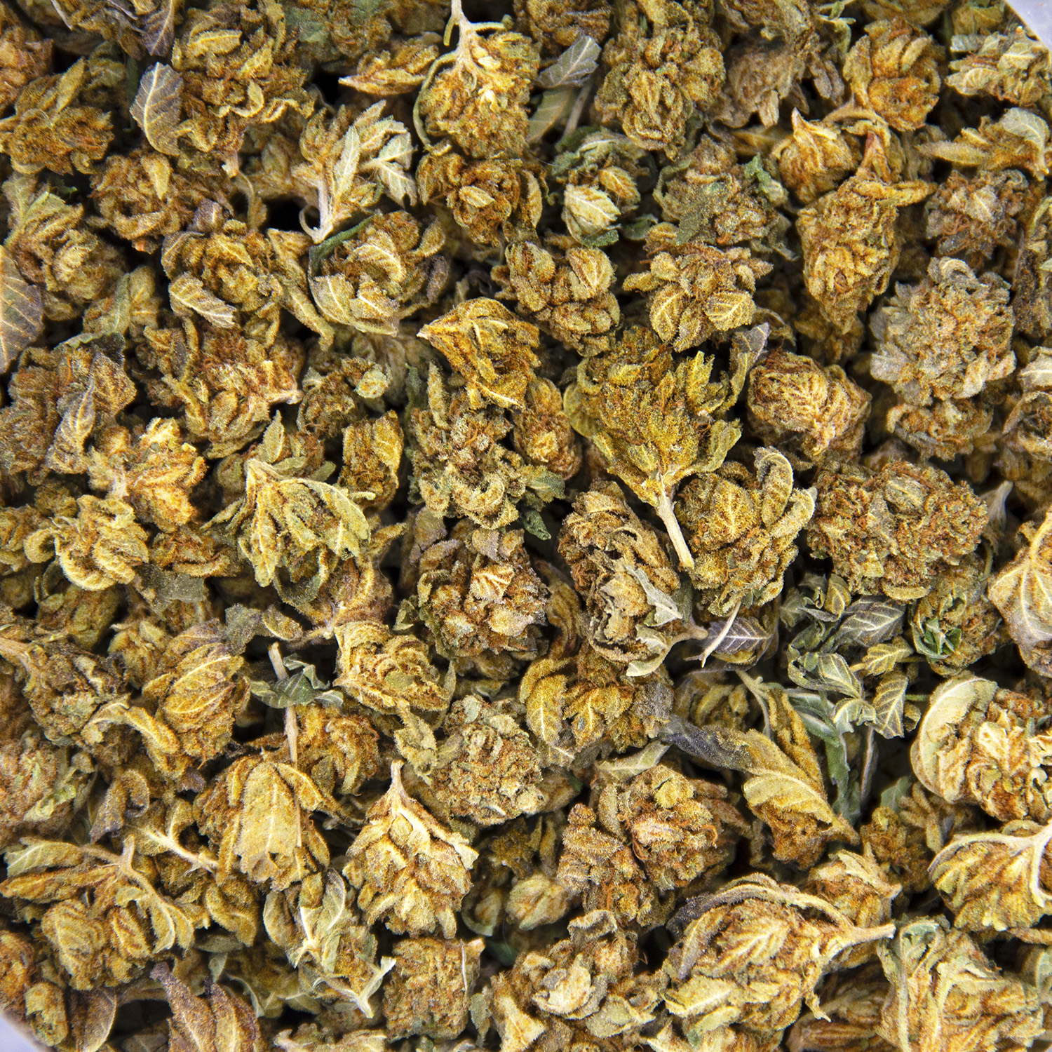 Violator (popcorn) AA - Image 3