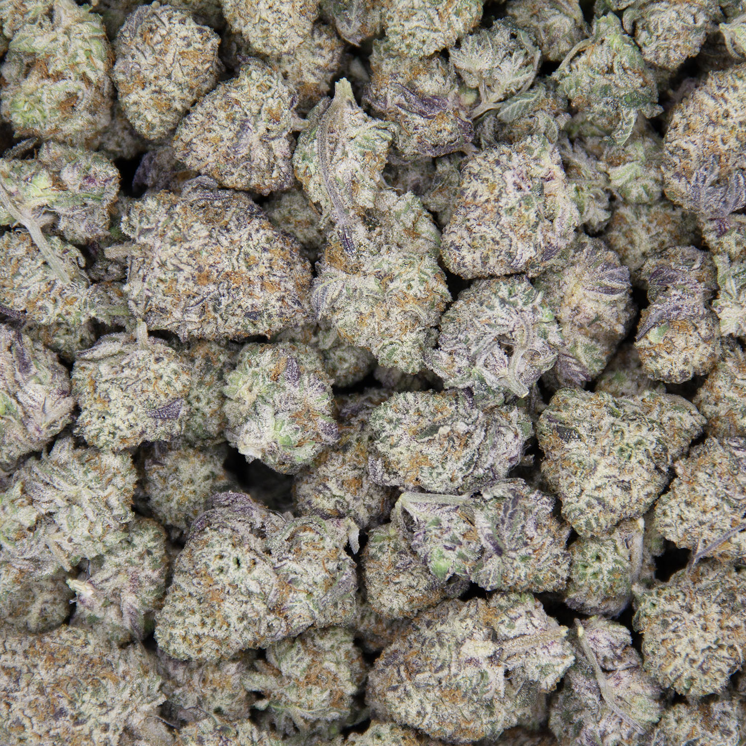 Zoap (mediums) AAA+ - Image 3