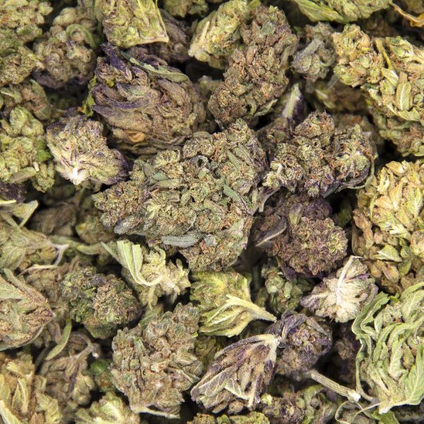 Alternative view of Acai Berry Gelato AA-