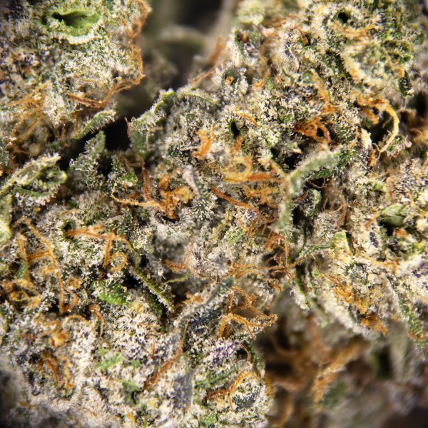 Alternative view of Chemdawg's Sister AAA