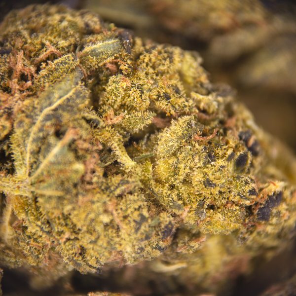 Alternative view of Orange Bud (mediums) AA