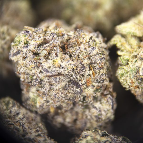 Alternative view of Panda Glue (smalls) AAAA