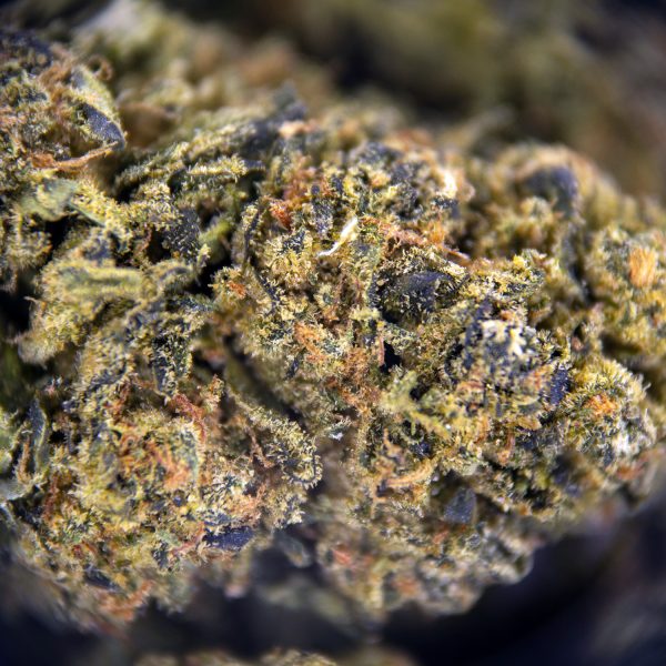 Alternative view of Sour Cheese AA