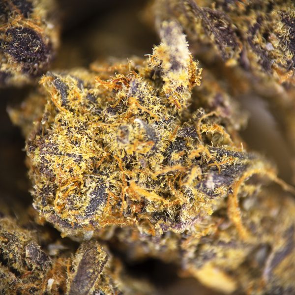 Alternative view of Black Cherry (smalls) AA