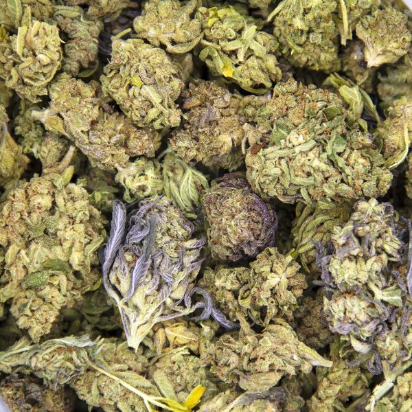 Alternative view of Fruity Pebbles AA-