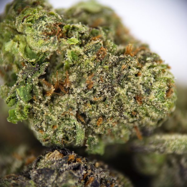 Alternative view of Grimace OG (smalls) AAA