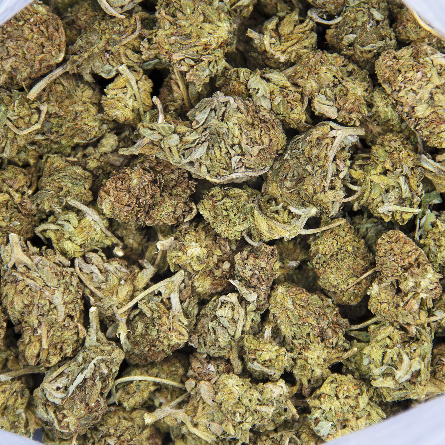 Lemon Kush AA- - Image 2