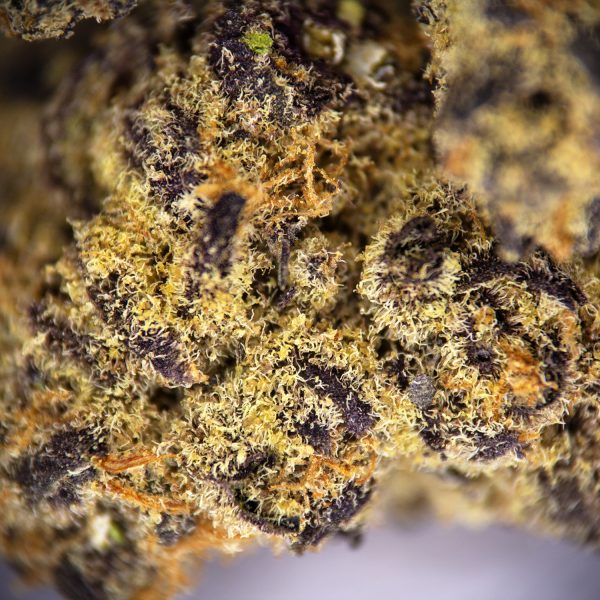 Alternative view of Tangie Dream (mediums) AA+