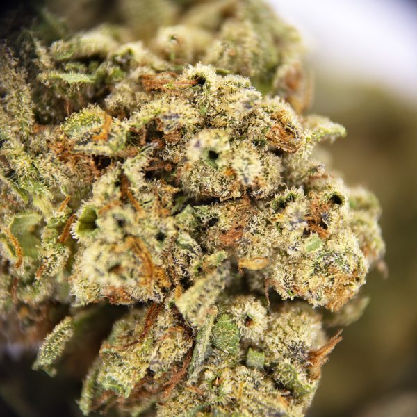 Alternative view of Trainwreck AA