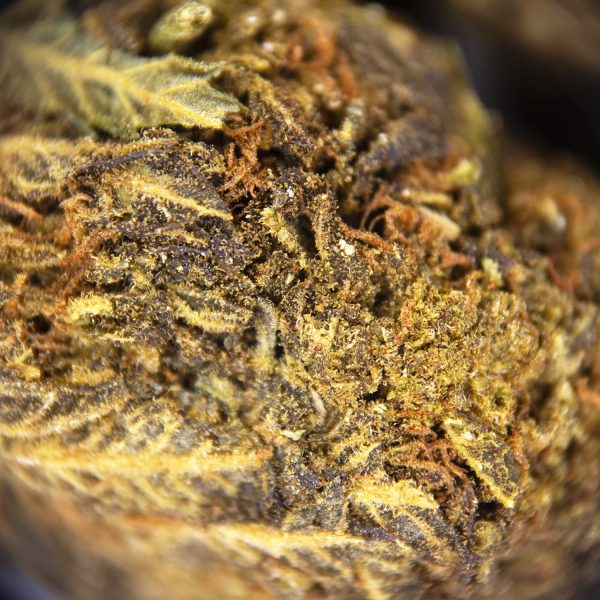 Alternative view of Alien Kush (mediums) AA