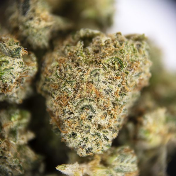 Alternative view of Blue Dream (popcorn) AAA-