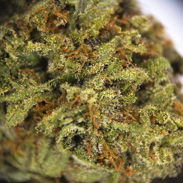 Alternative view of Candy Apple AA