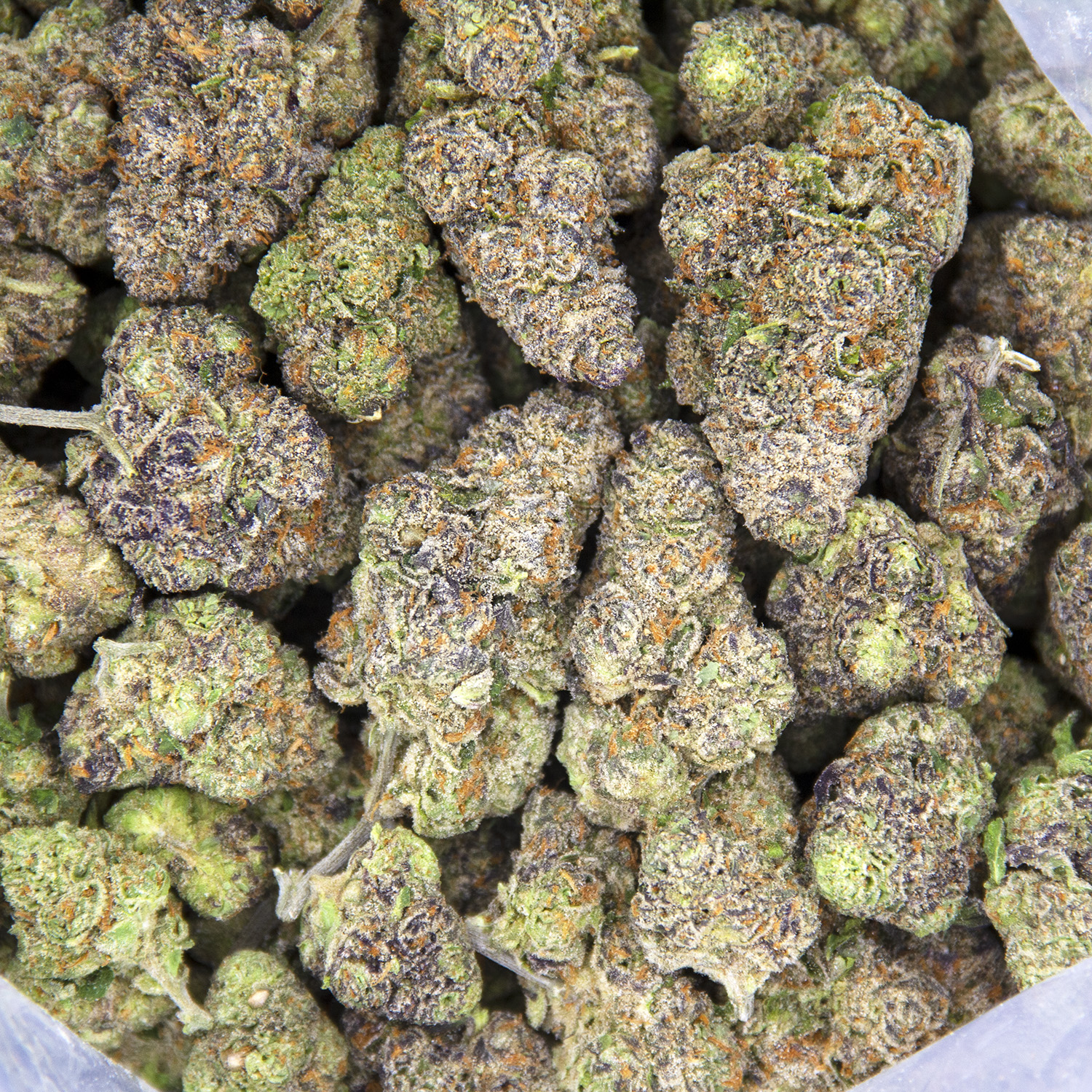 Grimace OG AAA - Image 2