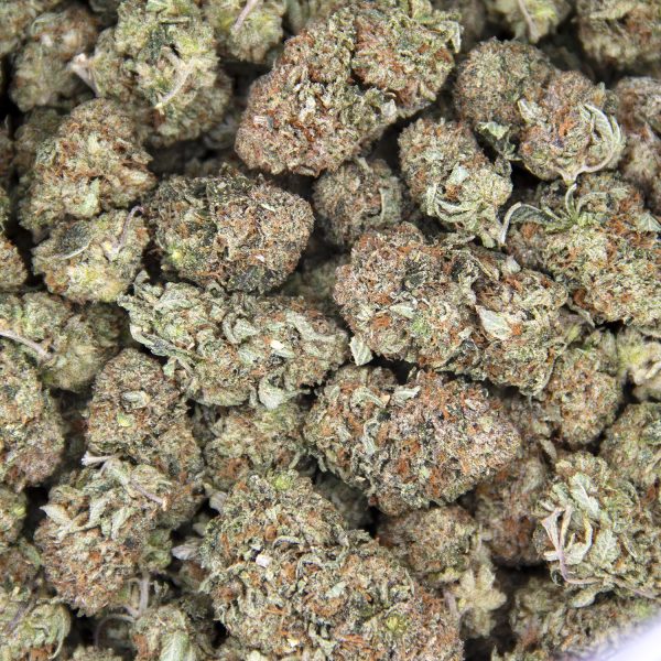 Alternative view of Rockstar Tuna (mediums) AA+