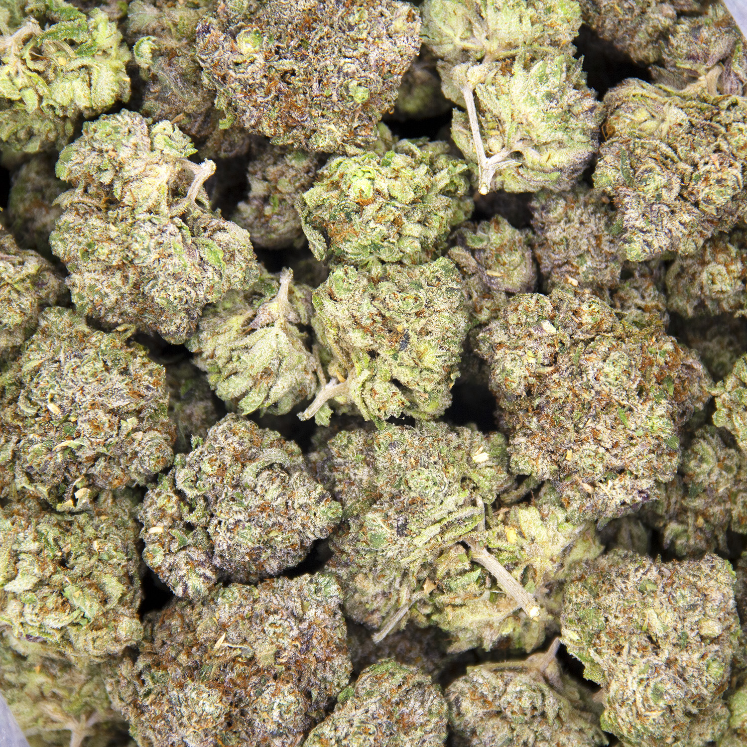 Head Cheese AAA - Image 2