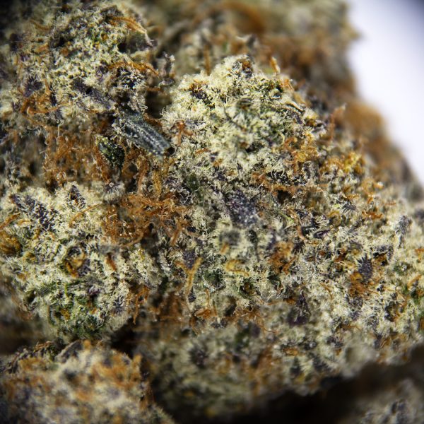 Alternative view of Slurricane AAAA