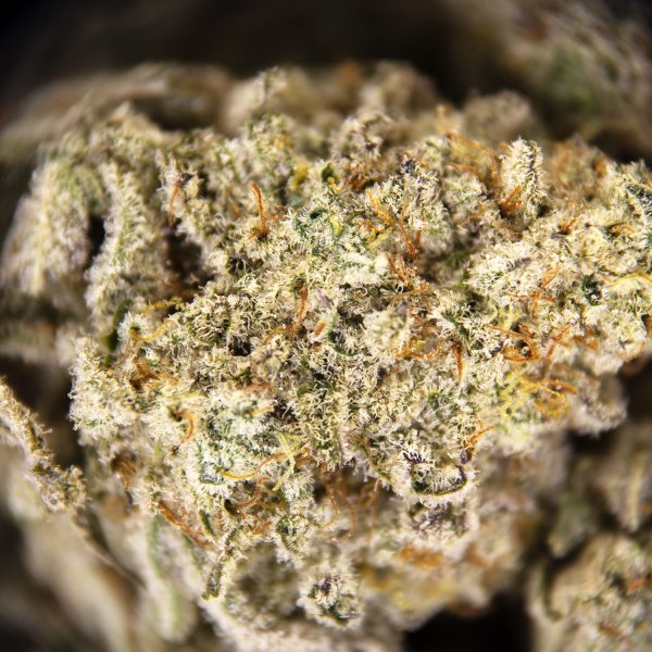 Alternative view of Thin Mint (mediums)