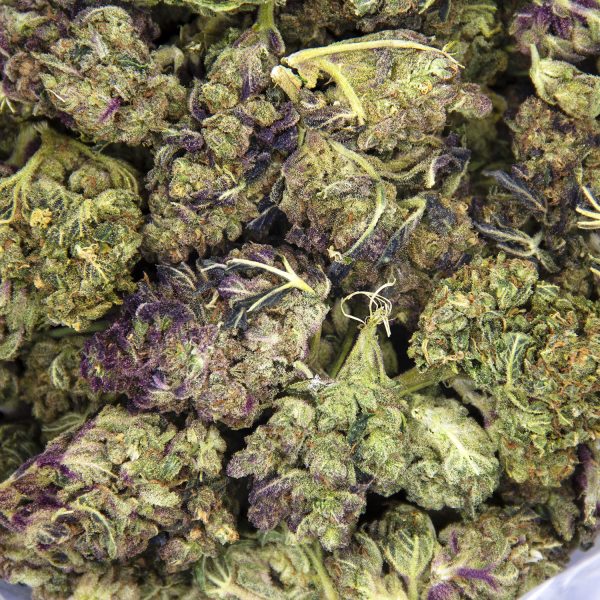 Alternative view of Zookies AA