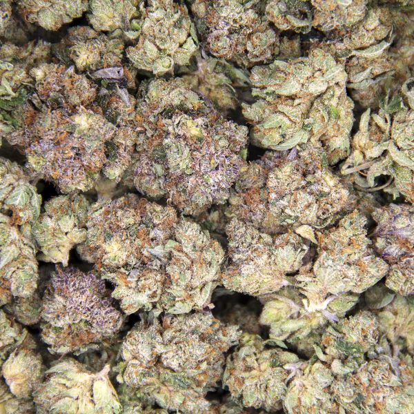 Alternative view of Afghan Goo (mediums) AAA